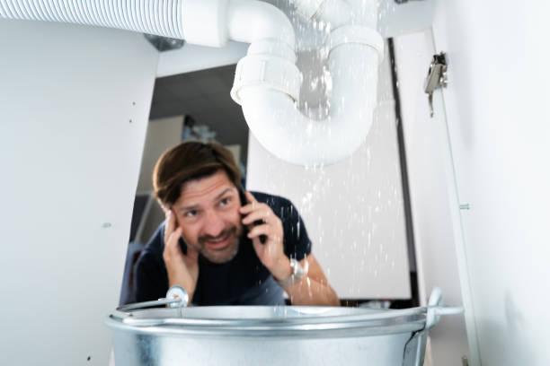 Best Septic Systems  in Perry, IA