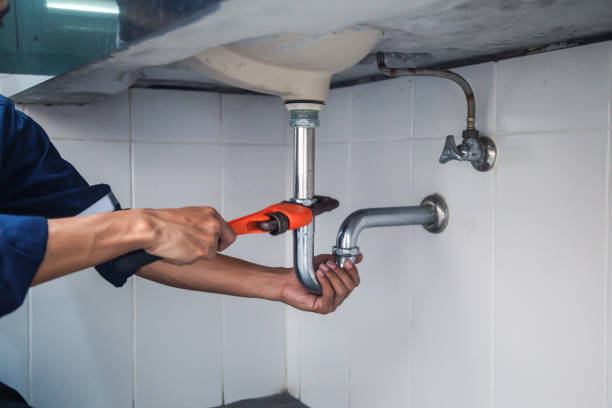 Best Clogged Drain Plumber  in Perry, IA